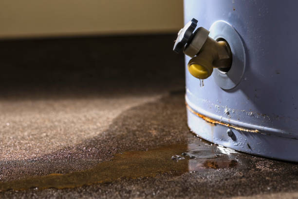 Best Residential water damage restoration  in Taylor Mill, KY