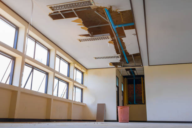 Best Water damage restoration process  in Taylor Mill, KY