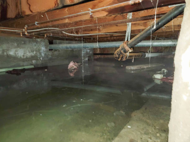 Best Sewage cleanup and water damage restoration  in Taylor Mill, KY