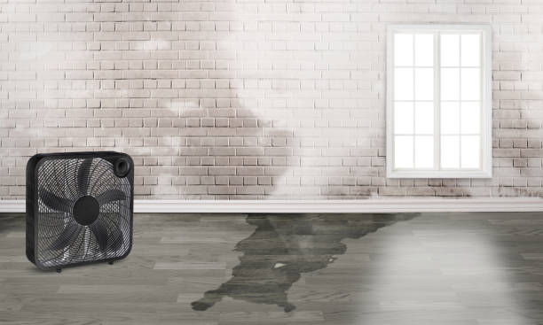 Best Fire Damage Restoration  in Taylor Mill, KY
