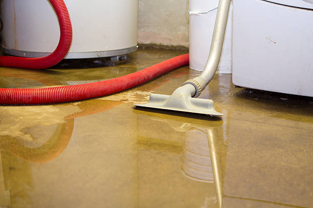 Best Water damage cleanup near me  in Taylor Mill, KY