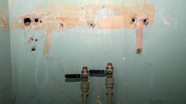 Best Carpet water damage restoration  in Taylor Mill, KY