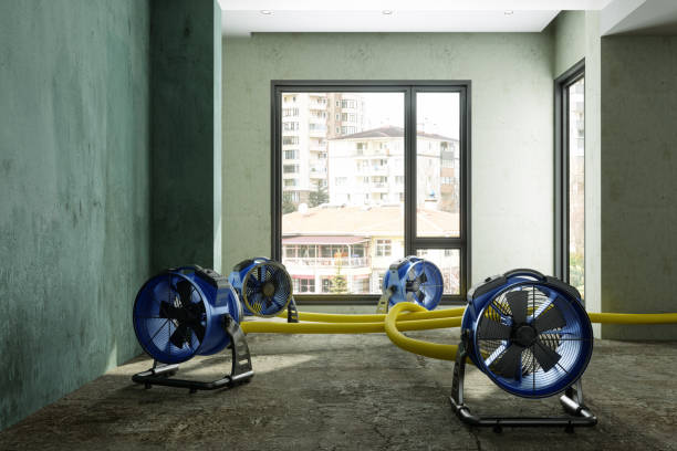 Best Emergency water damage restoration  in Taylor Mill, KY